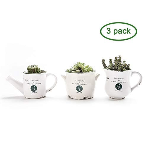 Ceramic Succulent Planter Pot with Drainage Hole (3 Shape) Cactus Flower Porcelain Holder Container Outdoor Indoor Home Office Decoration, Set of 3