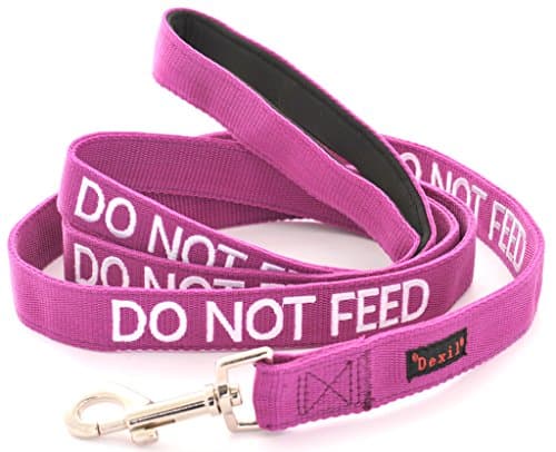 DO NOT FEED Purple Color Coded 4 Foot Padded Dog Leash (May Have Allergies) PREVENTS Accidents By Warning Others of Your Dog in Advance