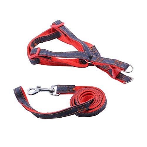 LuWees Dog Leash Harness Adjustable & Durable Leash Set & Heavy Duty Denim Dog Leash Collar for Training Walking Running, Rescue No-Pull Harness for Small/Medium Dog,Red