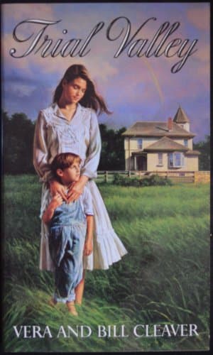 Trial Valley Paperback – 1 Apr 1991