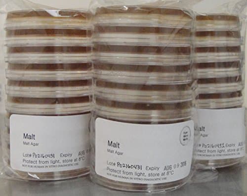 Malt Extract Agar (MEA) 100mm plates, 30ct