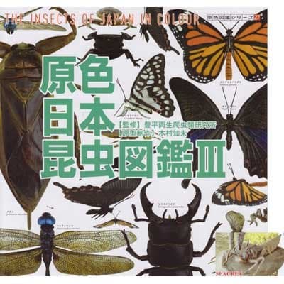 Fugifilm Bean Blimps