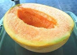 New Fresh 20pcs Yubari Melon Seeds Generic