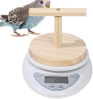 Bird Scale, Scale for Small Animal Pet Bird, High Accuracy, Convenient Digital Weighing Tool for Weight Changing Monitoring