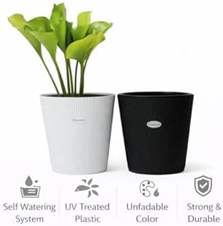 GREENON® Set of 4 (8 Pieces) 10 Inch Self Watering Plant Pots | Black Outer & Black Inner Flower Pots | UnFadable Plastic | Premium Indoor & Balcony Planters | Low Maintenance Gamla