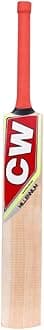 CW Storm Cricket Kit Junior Sizes - Full Size Full Wooden Kit with Kashmir Willow Bat & Accessories Full Kit Cricket Complete Set (Full Size for 14 & Up)