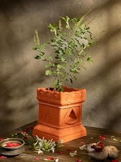 Village Decor Handmade Terracotta Clay Gardening/Brindavan Tulasi/Tulsi Pot/Tulsi Plant Container Indoor- Outdoor Planter (W*H - 6.5 * 8.5 inch (Brown))
