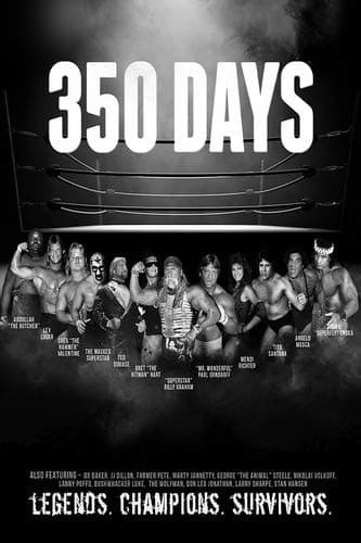 350 Days [DVD]