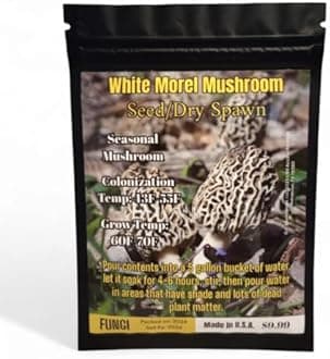 White Morel Mushroom Seed/Dry Spawn