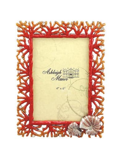 Ashleigh Manor 4 by 6-Inch Shell Coral Frame, Red