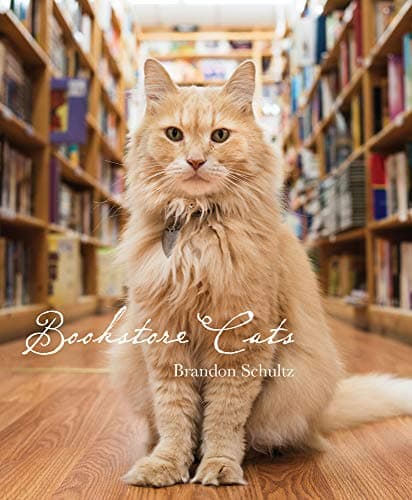 Bookstore Cats