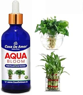 Aqua Bloom Liquid Plant Fertilizer For Lucky Bamboo, Money Plants & Aquatic (In Water) 100 Ml Premium Glass Bottle With Dropper