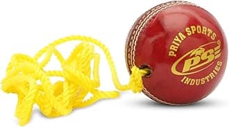 Priya Sports Red Practice Hanging Cricket Ball for Bat Knocking