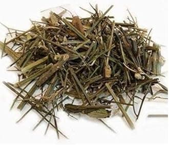 - Organicgreen Herb Chiraita Chireitta, Chiretta, Bitter Stick, Swertia, Chirata chirayta Dry(100GM)