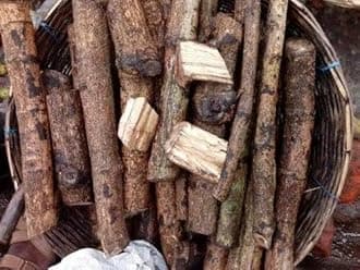 S. D ENTERPRISE All Time Best Testy Piper Chada or Choijhal Live Plant