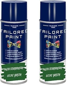 Dead Plant Reviver Aerosol Paint Green Foliage - Gives Dead Shrubs, Hedges, Boxes a Second Life (2, Mediterranean Olive Green)