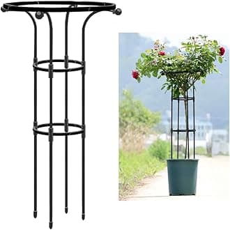 HASTHIP® Metal Garden Trellis for Climbing Plants, Vertical Plant Support with Hollow Roof Design, Rust-Proof Indoor/Outdoor Use for Potted Plants Vegetable Flowers Vine (Dia 20cm, Height 95cm)