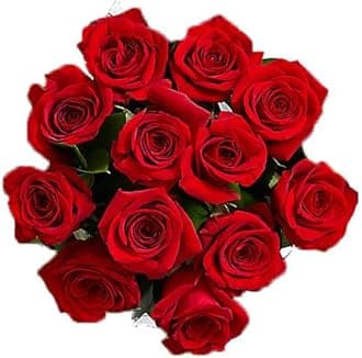 Farm Direct 100 Red Fresh Cut Roses | Fresh Flower Ecuadorian Roses Delivery