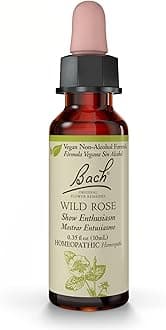 Bach Original Flower Remedies, Wild Rose (Non-Alcohol Formula) - Show Enthusiasm - Natural Homeopathic Flower Essence for Emotional Balance - Vegan, Gluten Free, Sugar Free - 10mL Dropper