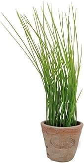Esschert's Design AH005 Small Artificial Aged Terracotta Pot - Chives