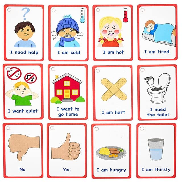 Amonev My Essential Needs Cards 12 Flashcards for visual aid Special Ed, Speech Delay Non Verbal Children and adults with Autism or Special Needs
