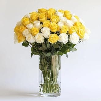 GlobalRose White & Yellow Fresh Cut Roses - 50 (2 Bundles of 25) Fresh Flowers Bouquet for Wedding, Birthday, Anniversary, Valentine's Day, or Home Decor - Flowers Delivery Gift