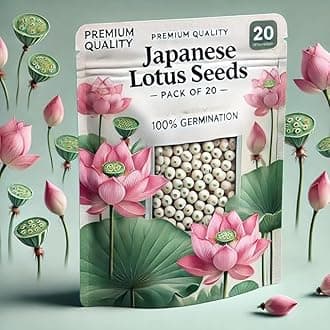 Ezeegrow Japanese Lotus Seed High Germination Rate Premium Pack for Planting in Water Indoor Lotus Kamal Gatta Flower Seed Home Gardening Indoor Outdoor Home Balcony (Pack of 100, 5, count)
