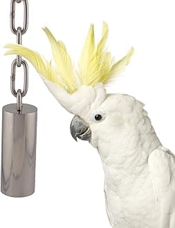 Super Bird Creations SB1242 Stainless Steel Tube Bells - Bird Cage Accessory for Sound Enrichment - Ideal for Parrots, Amazons, Greys, Cockatoos and Macaws (Medium)