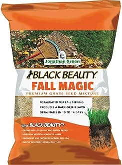 (10770) Black Beauty Fall Magic Grass Seed - Cool Season Lawn Seed (25 lb)