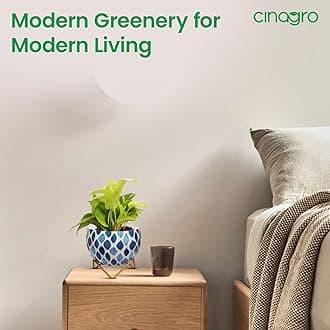 CINAGRO Metal Flower Vase Planter Pot with Iron Stand, Pots for Plants, Plant Pots for Home Decoration, Succulent Pot, Indoor Planter Garden Decor (Size: 6X6 inch) Style: Seaside Serenity