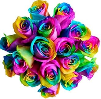 Fresh Rainbow Roses Bouquet - 12 Premium Stems by Flower Explosion