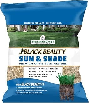 Jonathan Green (12001) Black Beauty Sun & Shade Grass Seed - Cool Season Lawn Seed (1 lb)