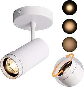 Aisilan LED Zoomable Ceiling Spotlight, Indoor Dimmable Accent Light for Pictures, 7W Hardwired Surface Mount Swivel Adjustable 10-55° Beam, High CRI 97, for Living Room Gallery Hallway Bedroom, White