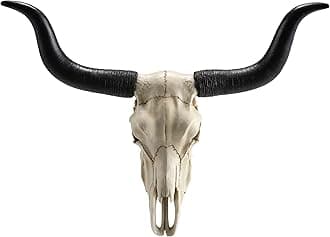 Veronese Design 14 Inch Long Horn Animal Skull Resin Wall Sculpture