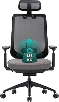 Ergonomic Mesh Office Chair, High Back Computer Executive Desk Chair with Adjustable Headrest and 4D Arms, Slide Seat, Tilt Lock, Dark Grey