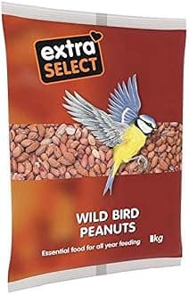 Extra Select Whole Peanuts for Wild Birds: Wild Bird Food Peanuts & Squirrel Food - 3kg Bag