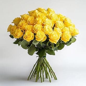 GlobalRose 75 Yellow Roses Bouquet - Responsibly Sourced Roses Fresh Flowers - Hand-Picked Flowers Fresh Bouquet for Graduation, Anniversary, Birthday & Special Occasions (3 Bunches of 25 Stems)