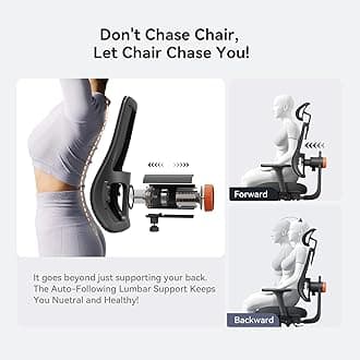 Newtral Ergonomic Office Chair, High Back Desk Chair, Mesh, Black, Adjustable Lumbar, Modern Style, Recommended for Office, Computer, Gaming