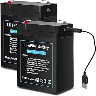 Upgraded Rechargeable 6V 6Ah LiFePO4 Battery with USB Charge Design, 6 Volt Lithium Battery 2000+ Cycles with BMS (F1 Terminals) for Deer Feeder 2 Pack