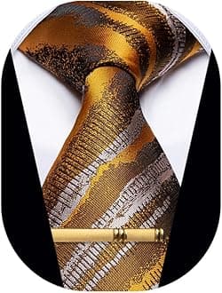 Men's Neckties Striped Tie and Plaid Neckties for Men Woven Silk Tie Gold Tie Clip Set