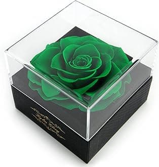 Fresh Cut Flower Preserved Rose for Women Mom Wife Girlfriend - Flower Gift Real Rose Decor for Mother's Day Valentine's Day Wedding Party Celebration Birthday Anniversary (Green)