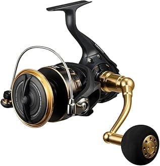 Spinning Reel 23BG SW 4000-18000 Various (2023 Model)