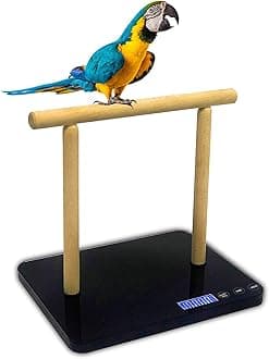 Bird Scale, Black, Gram Precision up to ±1g, Suitable for Macaw, Parrot and All Kinds of Bird