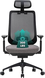 COLAMY Ergonomic Mesh Office Chair, High Back Executive Desk Chair with Lumbar Support, Adjustable Headrest and 4D Arms, Slide Seat, Tilt Lock-Darkgrey