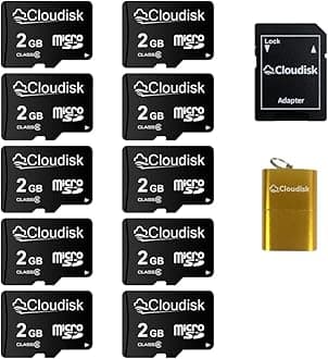 Pack of 10 Micro SD Card 2GB Flash Memory Card C6 with SD Adapter, Card Reader (2GB)