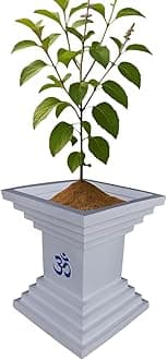 NEER Big Size Rotomolded Tulsi Vrindavan Polymer Pot – 20x15 Inch Rectangular Grey Stone Marble Look Pot for Tulsi Plant, Indoor & Outdoor (White, Medium)