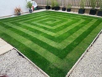 Premium Lawn Grass Seeds – Ideal for Fast-Growing, Gorgeous Green Coverage | Pack of 14000