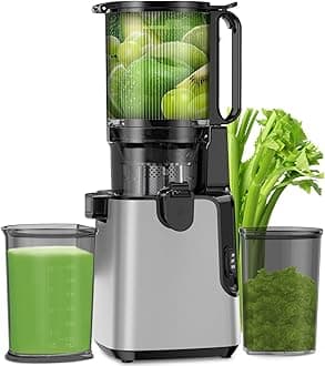 Juicer Machines with 5.8" Extra Large Feed Chute, Cold Press Juicer Fit Whole Vegetables and Fruits, 400W Professional Masticating Juicer Easy to Clean for Batch Juicing (Silver)