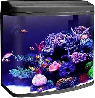 Jainsons Pet Products Minjiang Aquarium Tank HR3-380 | 24L Capacity | Rust Resistant Glass Fish Tank with Filtration System | Durable Black Aquarium for Home & Office