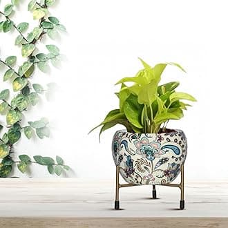 Metal Flower Vase Planter Pot with Iron Stand, Pots for Plants, Plant Pots for Home Decoration, Succulent Pot, Indoor Planter Garden Decor Style: Sunlit Symphony